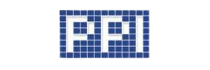 PPI Capital